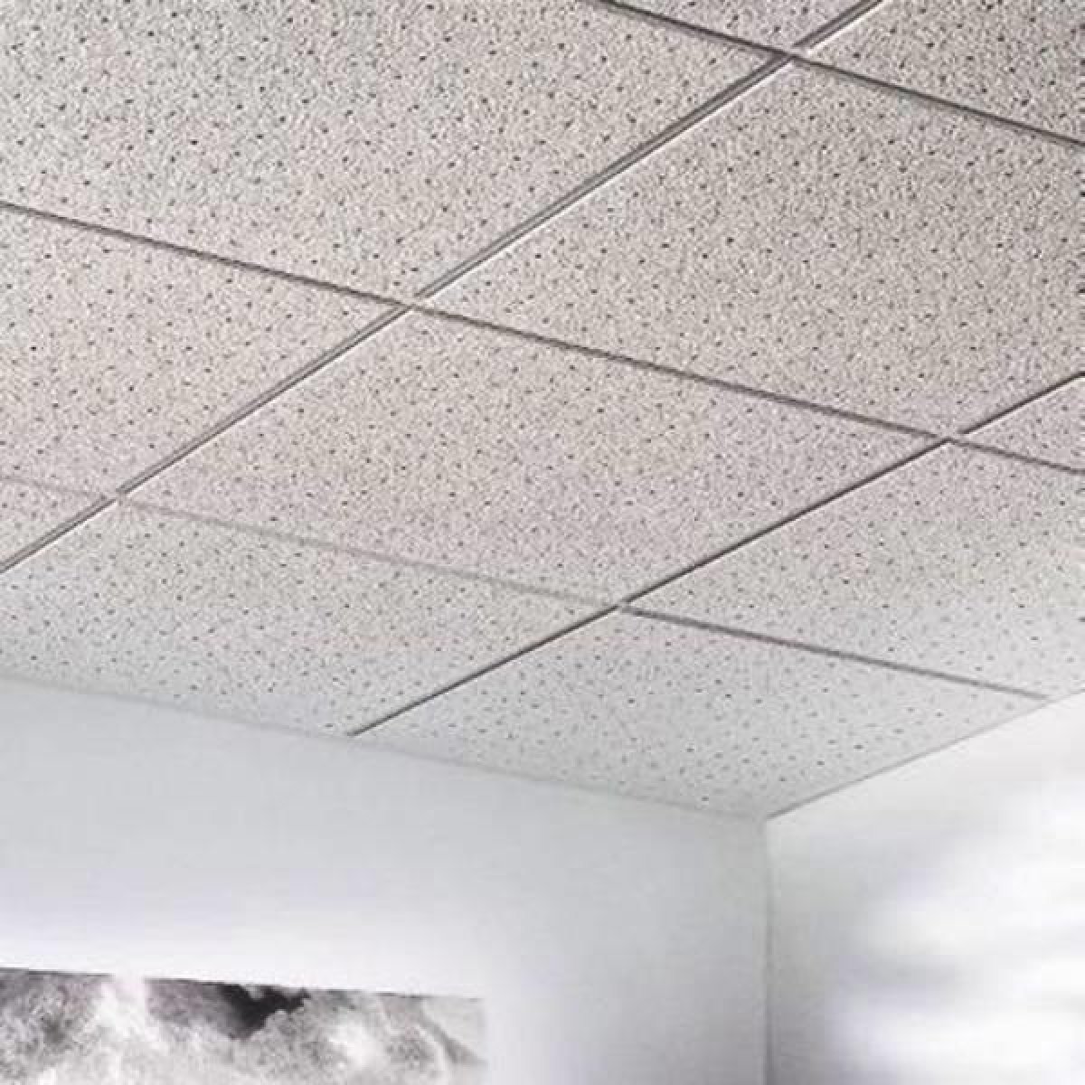 Acoustic Ceiling Panels