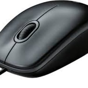 Mouse