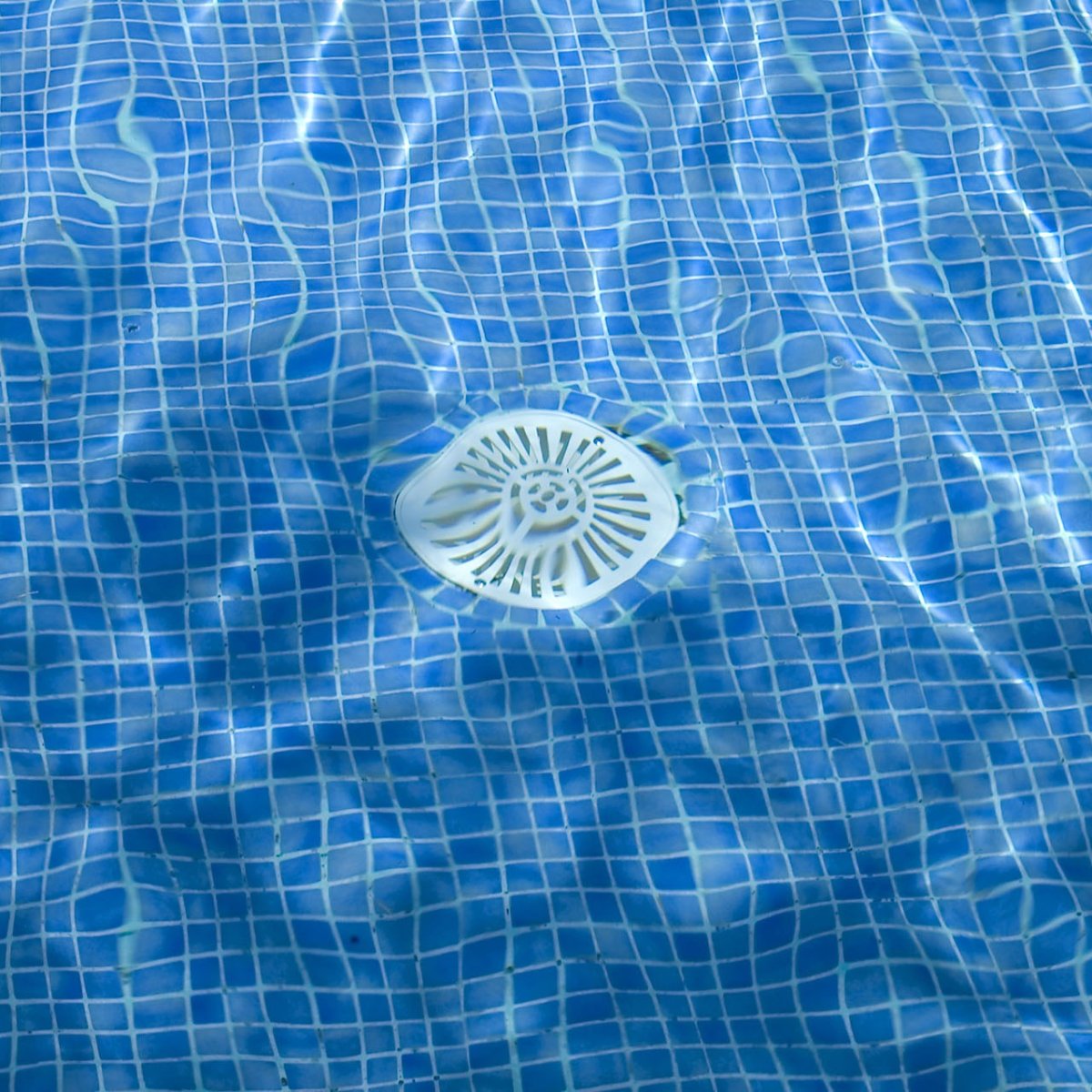 Swimming Pool Main Drain