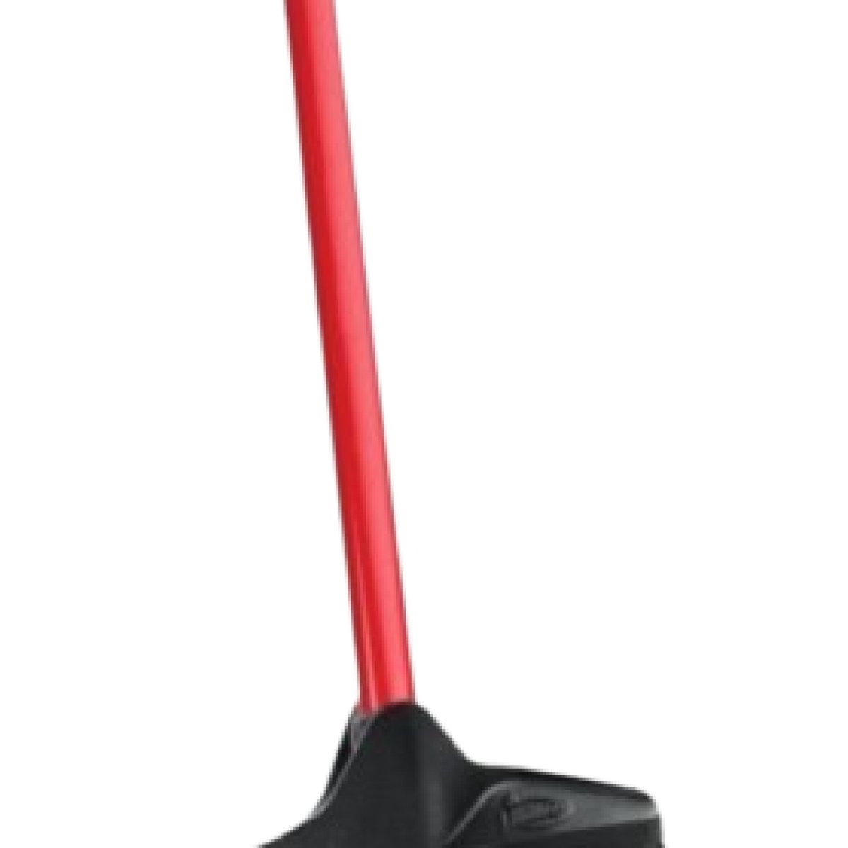 Cleaning Broom
